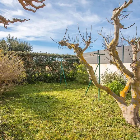 Les Mimosas * Bormes-les-Mimosas